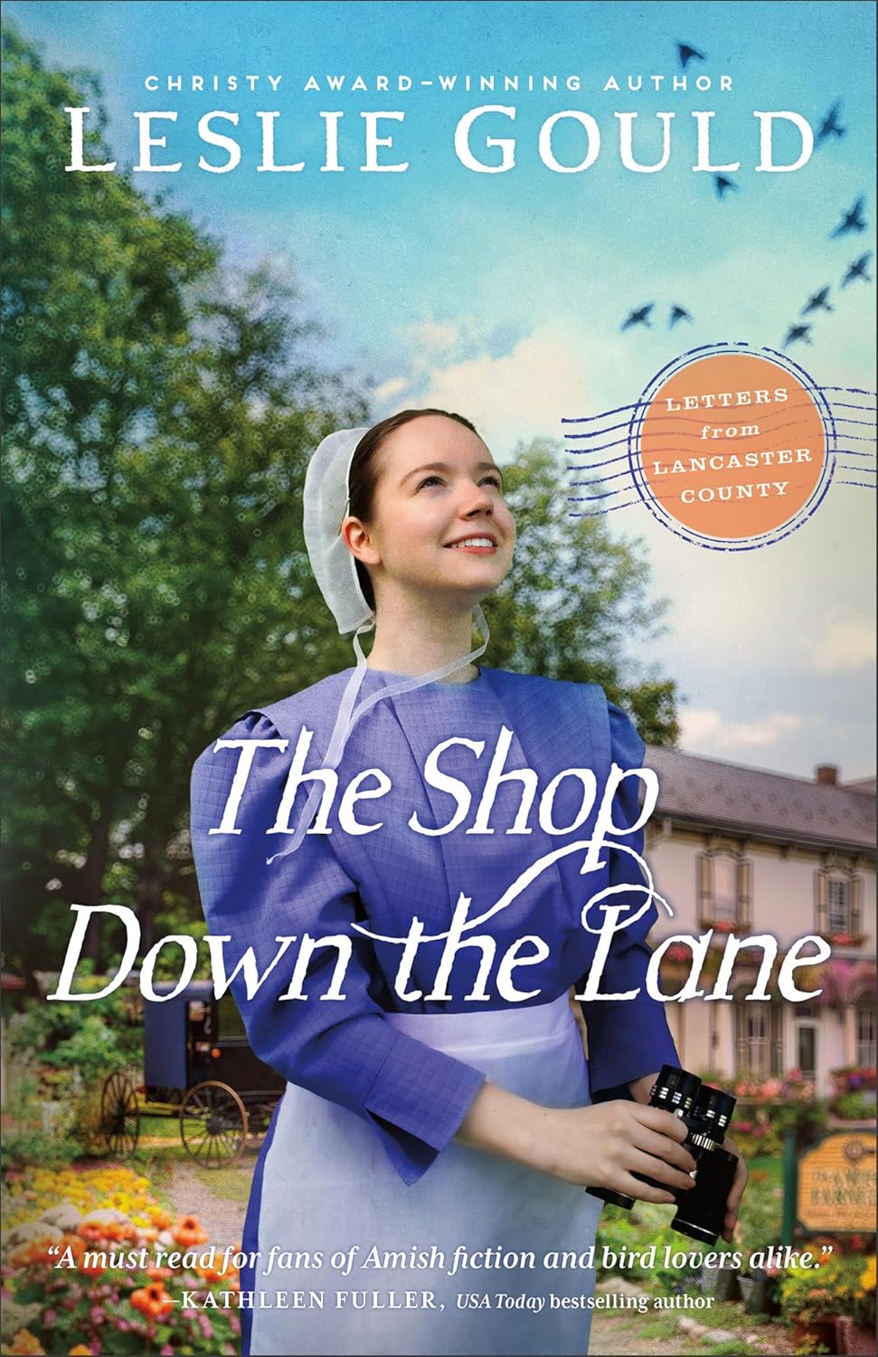 The Shop Down the Lane: (A Sweet Contemporary Amish Letter Writing ...